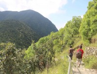 Hikers Descending Down  After Chamapadevi Day Hiking 